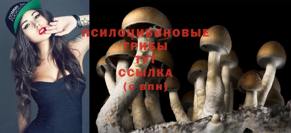 трава Армянск