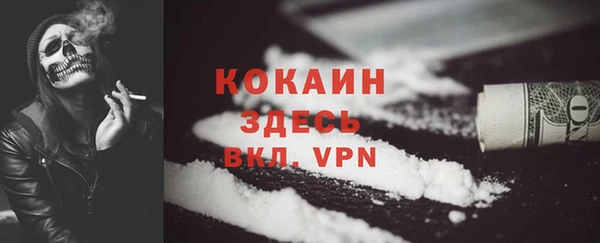 трава Аркадак