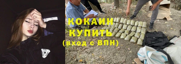 трава Армянск