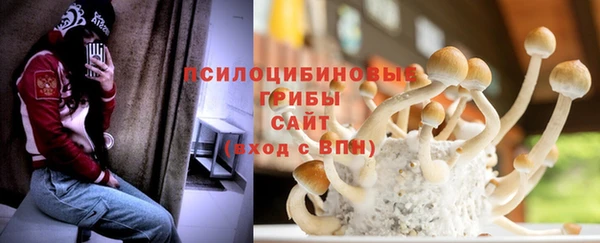 трава Армянск