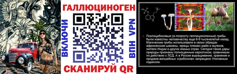 Псилоцибиновые грибы Psilocybe Купить закладки Семёнов